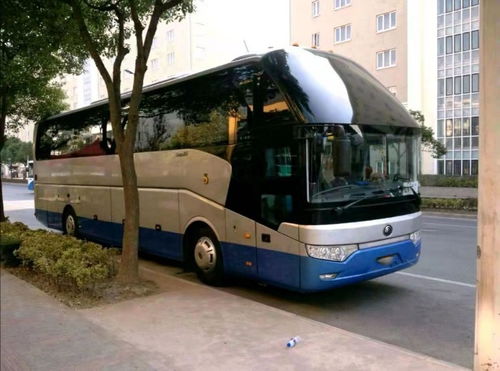 晉城租車指南 如何在晉城列表網上輕松租到心儀的車輛